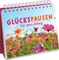 bokomslag Glückspausen für den Alltag