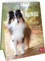 Hunde sind die besten Freunde 1