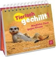 bokomslag Tierisch gechillt!