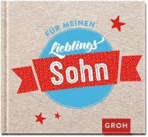 bokomslag Für meinen Lieblingssohn