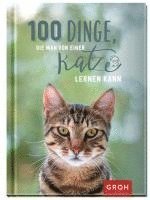 bokomslag 100 Dinge, die man von einer Katze lernen kann