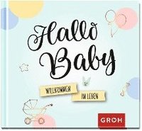 bokomslag Hallo Baby.