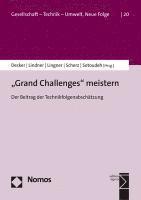bokomslag Grand Challenges Meistern: Der Beitrag Der Technikfolgenabschatzung