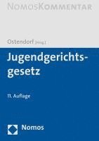 Jugendgerichtsgesetz 1