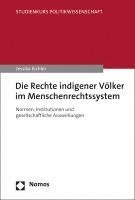 Die Rechte Indigener Volker Im Menschenrechtssystem: Normen, Institutionen Und Gesellschaftliche Auswirkungen
