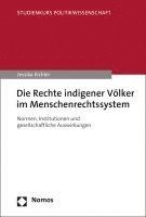 Die Rechte Indigener Volker Im Menschenrechtssystem: Normen, Institutionen Und Gesellschaftliche Auswirkungen 1