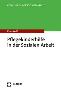 bokomslag Pflegekinderhilfe in Der Sozialen Arbeit