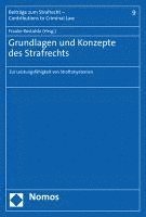 bokomslag Grundlagen Und Konzepte Des Strafrechts: Zur Leistungsfahigkeit Von Straftatsystemen
