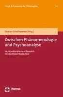 bokomslag Zwischen Phanomenologie Und Psychoanalyse: Im Interdisziplinaren Gesprach Mit Bernhard Waldenfels