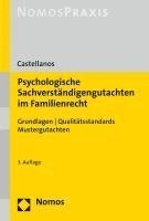 bokomslag Psychologische Sachverstandigengutachten Im Familienrecht: Grundlagen / Qualitatsstandards / Mustergutachten