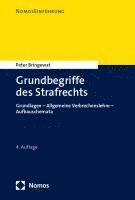 bokomslag Grundbegriffe Des Strafrechts: Grundlagen - Allgemeine Verbrechenslehre - Aufbauschemata - Unverbindliche Preisempfehlung
