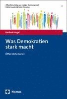 bokomslag Was Demokratien Stark Macht: Offentliche Guter