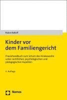 bokomslag Kinder VOR Dem Familiengericht: Praxishandbuch Zum Schutz Des Kindeswohls Unter Rechtlichen, Psychologischen Und Padagogischen Aspekten