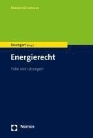 bokomslag Energierecht: Falle Und Losungen
