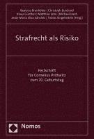 Strafrecht ALS Risiko: Festschrift Fur Cornelius Prittwitz Zum 70. Geburtstag 1