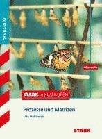 Stark in Mathematik - Prozesse und Matrizen Oberstufe, Häftad