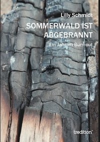 bokomslag Sommerwald ist abgebrannt