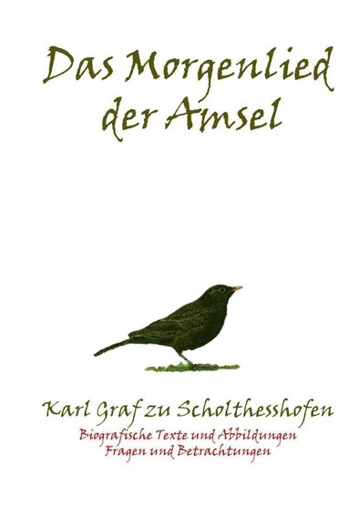 bokomslag Morgenlied der Amsel