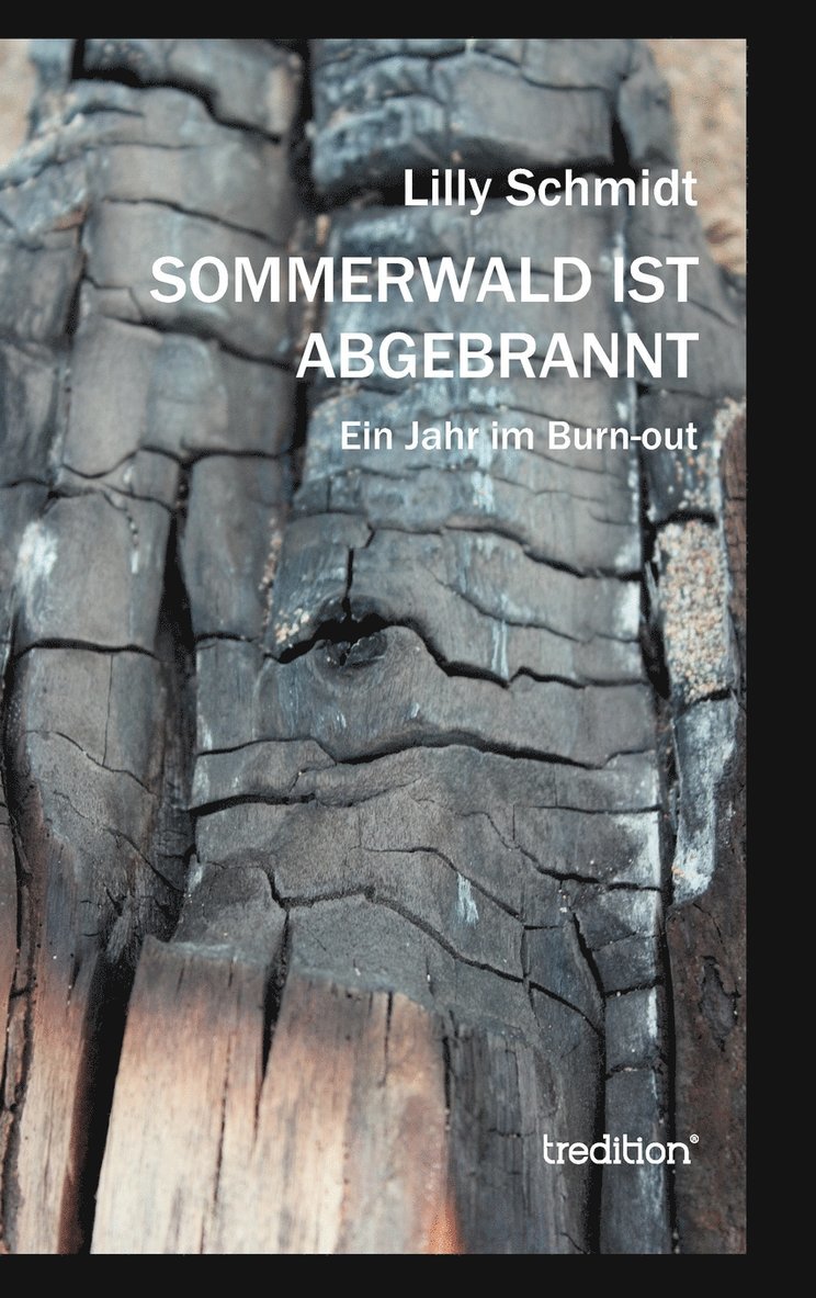 Lilly Schmidt - Sommerwald ist abgebrannt, Inbunden