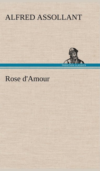 bokomslag Rose d'Amour