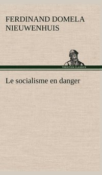 bokomslag Le socialisme en danger