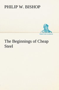 bokomslag The Beginnings of Cheap Steel