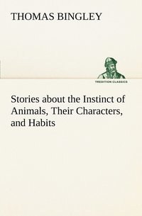 bokomslag Stories about the Instinct of Animals, Their Characters, and Habits