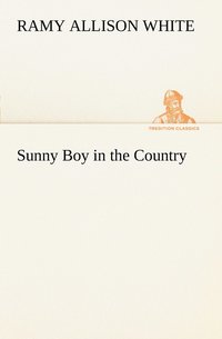 bokomslag Sunny Boy in the Country