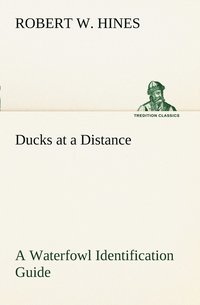 bokomslag Ducks at a Distance A Waterfowl Identification Guide