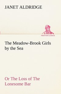 bokomslag The Meadow-Brook Girls by the Sea Or The Loss of The Lonesome Bar