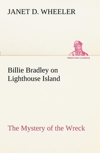 bokomslag Billie Bradley on Lighthouse Island The Mystery of the Wreck