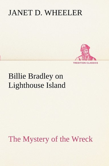 bokomslag Billie Bradley on Lighthouse Island The Mystery of the Wreck