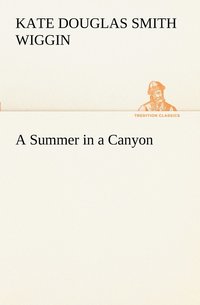 bokomslag Summer in a Canyon