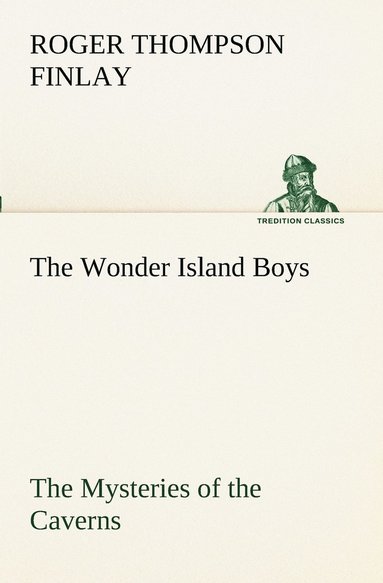 bokomslag The Wonder Island Boys