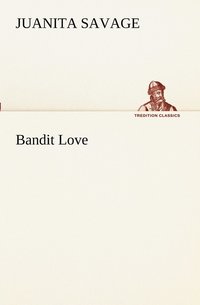 bokomslag Bandit Love