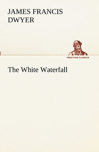 bokomslag White Waterfall