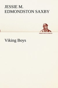 bokomslag Viking Boys