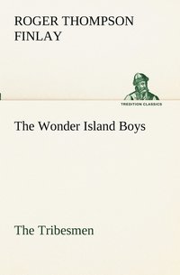 bokomslag The Wonder Island Boys
