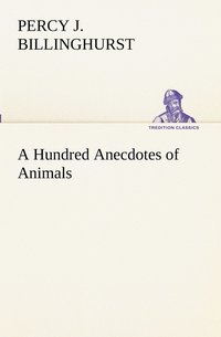 bokomslag A Hundred Anecdotes of Animals