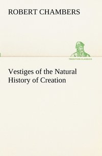 bokomslag Vestiges of the Natural History of Creation