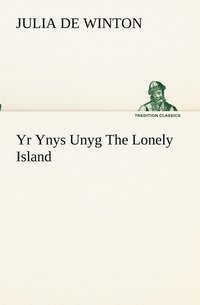 bokomslag Yr Ynys Unyg The Lonely Island