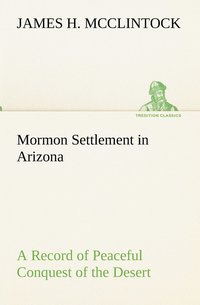 bokomslag Mormon Settlement in Arizona A Record of Peaceful Conquest of the Desert