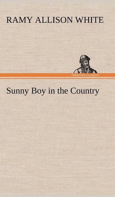 bokomslag Sunny Boy in the Country