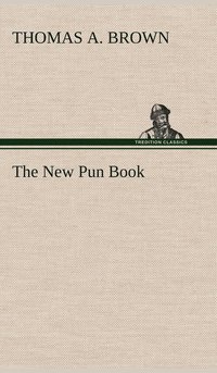 bokomslag The New Pun Book