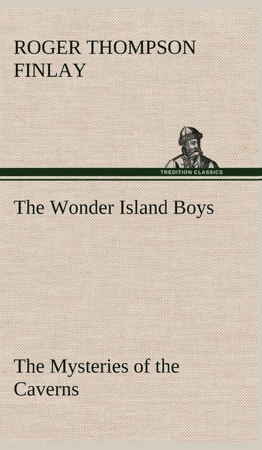 bokomslag The Wonder Island Boys