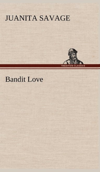 bokomslag Bandit Love