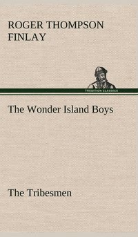 bokomslag The Wonder Island Boys
