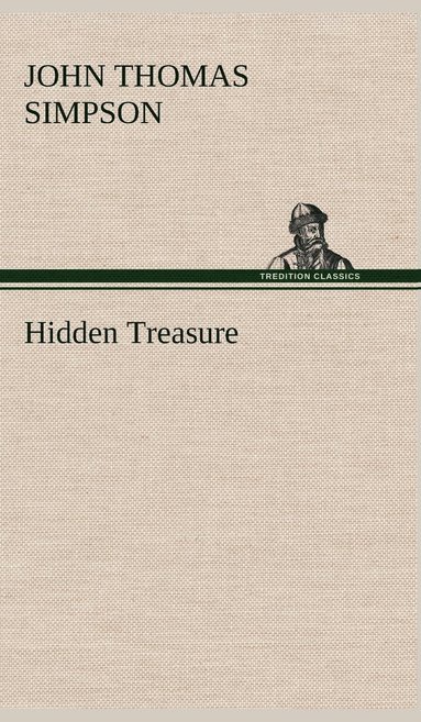 bokomslag Hidden Treasure