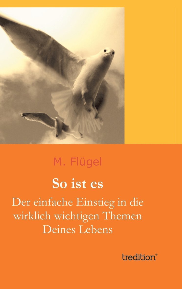 M Flügel, M. Flügel - So ist es, Inbunden