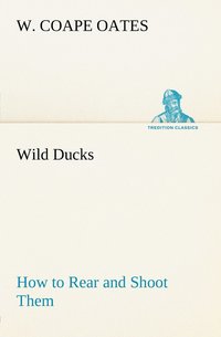 bokomslag Wild Ducks How to Rear and Shoot Them